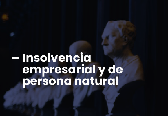 BMV_Servicios_5