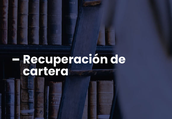 BMV_Servicios_8
